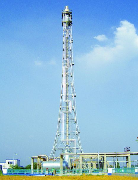 ɽ���������