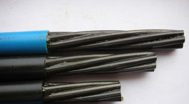 ����ŷάķ��е�ֽ��߼��